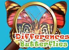 Znajdź różnicę: Motyle