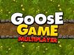 Gra Gęsi Multiplayer