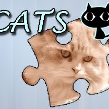 Układanka Puzzle: Koty