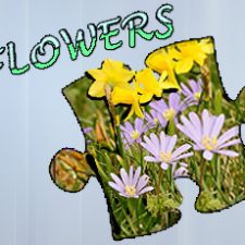 Układanka Puzzle: Kwiaty