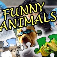 Układanka Puzzle: Zabawne Zwierzęta