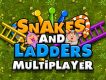 Snake and Ladders Multiplayer