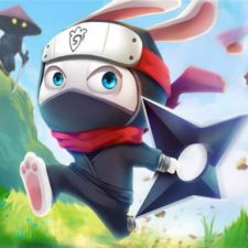 Królik Ninja